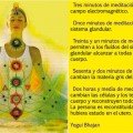 domingoyogi