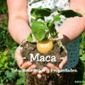 propiedadesmaca
