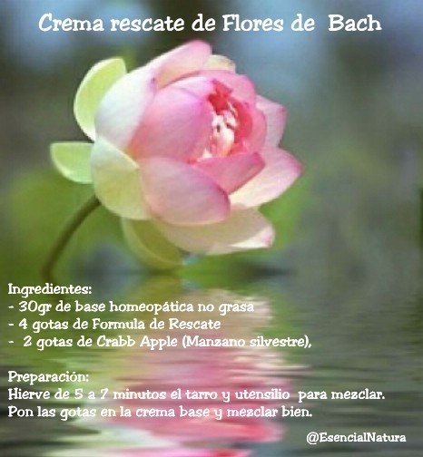 Flores de Bach – Info y preparación de Crema rescate de Bach