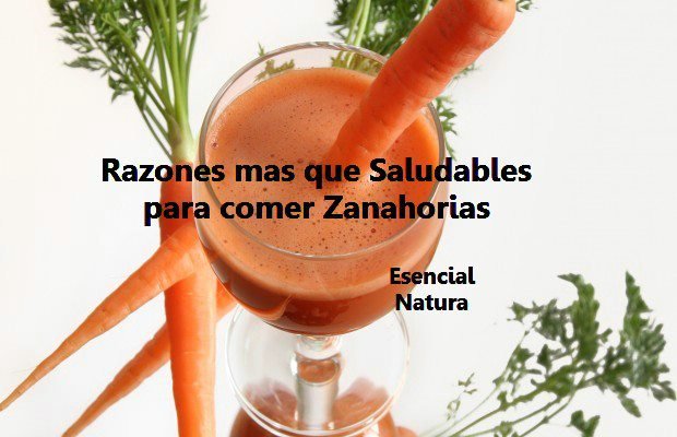 Intotips: Razones mas que Saludables para comer Zanahorias .