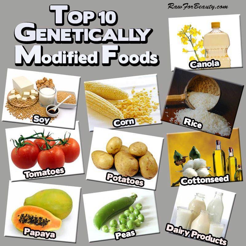 info: Top 10 alimentos modificados genéticamente