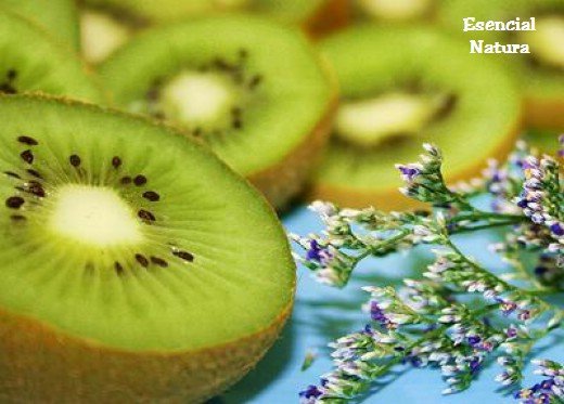 14 Razones saludables para comer Kiwi