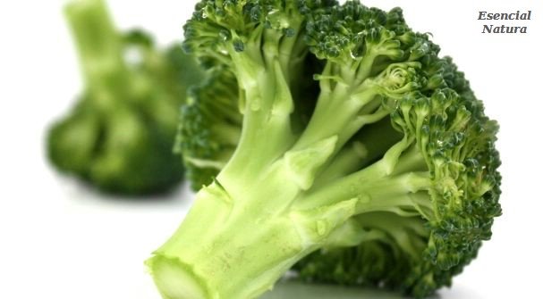 Estudio revela que el compuesto en el brócoli ayuda a síntomas del autismo