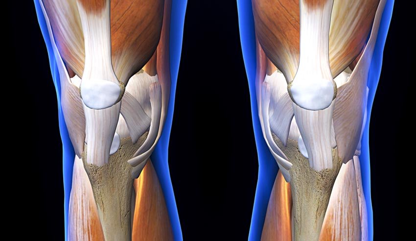 La acupuntura repara el daño del cartílago de la artritis de la rodilla