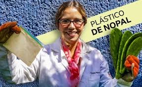 Investigadora en México crea plástico a partir de cactus que se biodegrada en un mes y es seguro para ingerir.
